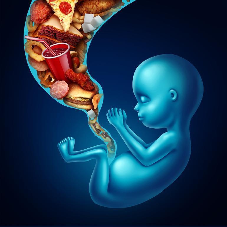 Pregnancy diet symbol or eating junk food as a prenatal maternity problem with a fetus being fed with a group of high cholesterol food as risky baby nutrition symbol with 3D illustration elements.