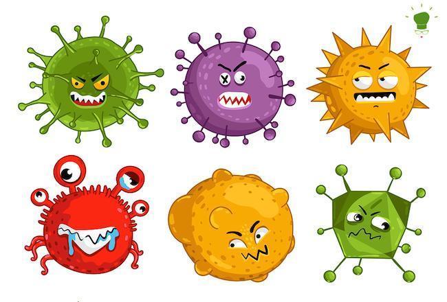 Il Coronavirus insegna quali alimenti aiutano il sistema immunitario